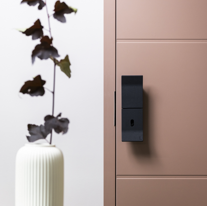 LEARO Home - Black