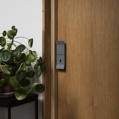 LEARO Home - Titanium Grey
